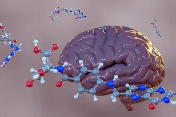 Representación del cerebro con una cadena de genes, mostrando cómo las vitaminas para el cerebro y los nervios influyen en el funcionamiento cerebral y la genética.